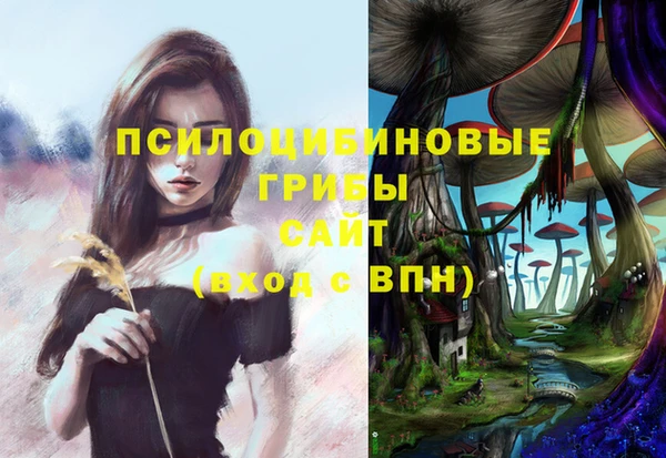 МДПВ Грязи