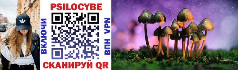mega зеркало  Мариинский Посад  Псилоцибиновые грибы Psilocybine cubensis 