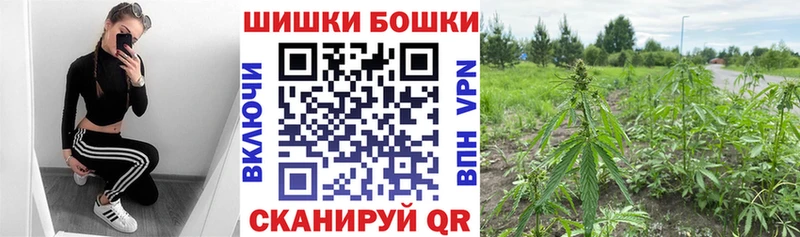 Марихуана SATIVA & INDICA  blacksprut как зайти  Мариинский Посад  купить закладку 